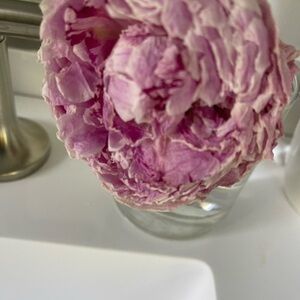 Meet your Posher, ESSIE